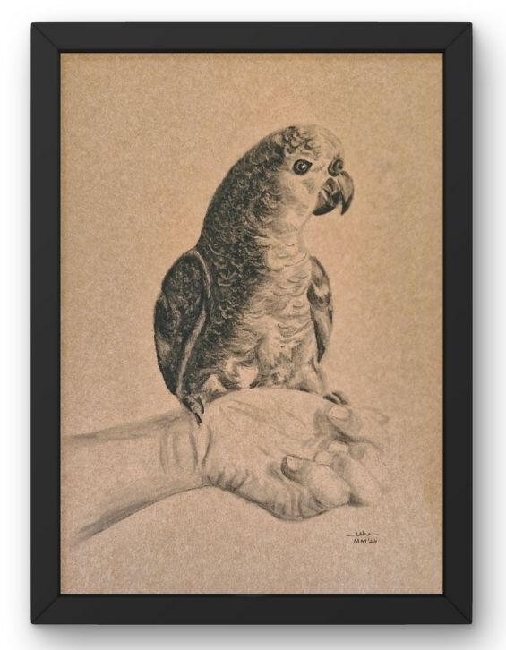 Birdie